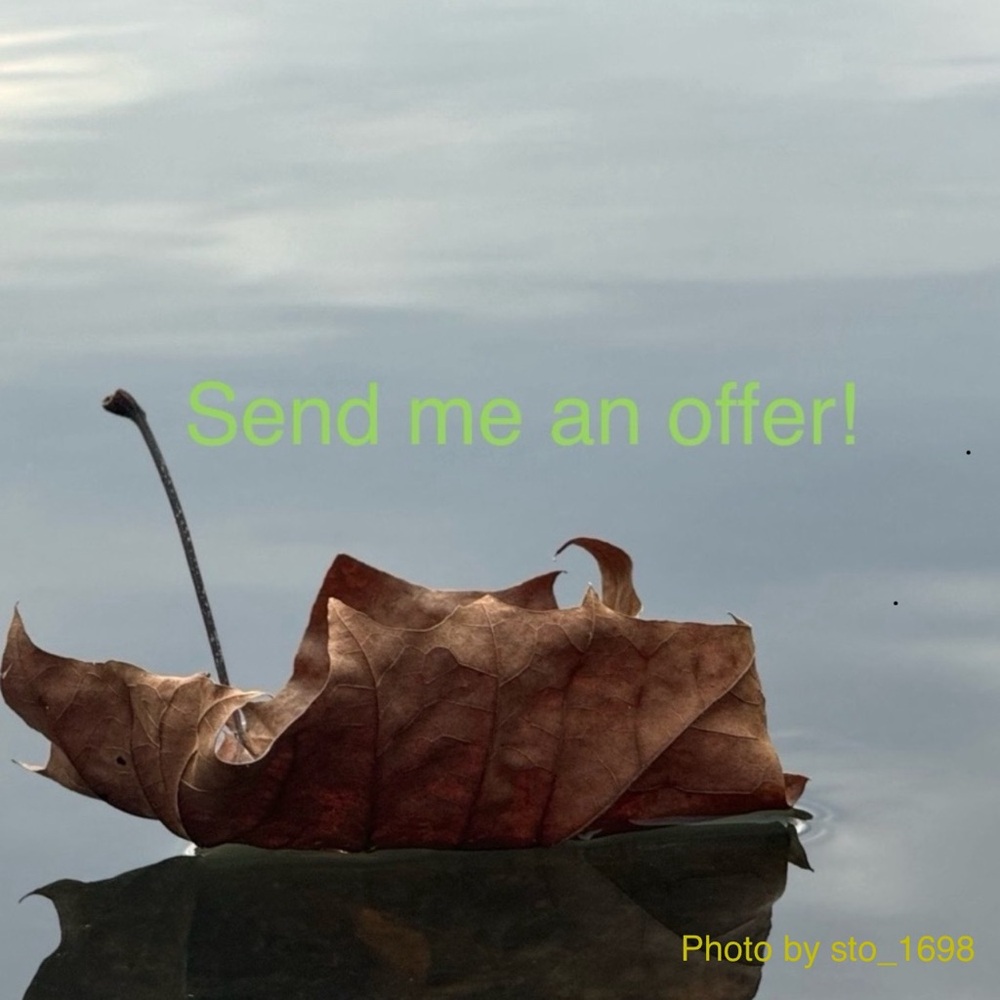 Send me an offer! I love getting offers!